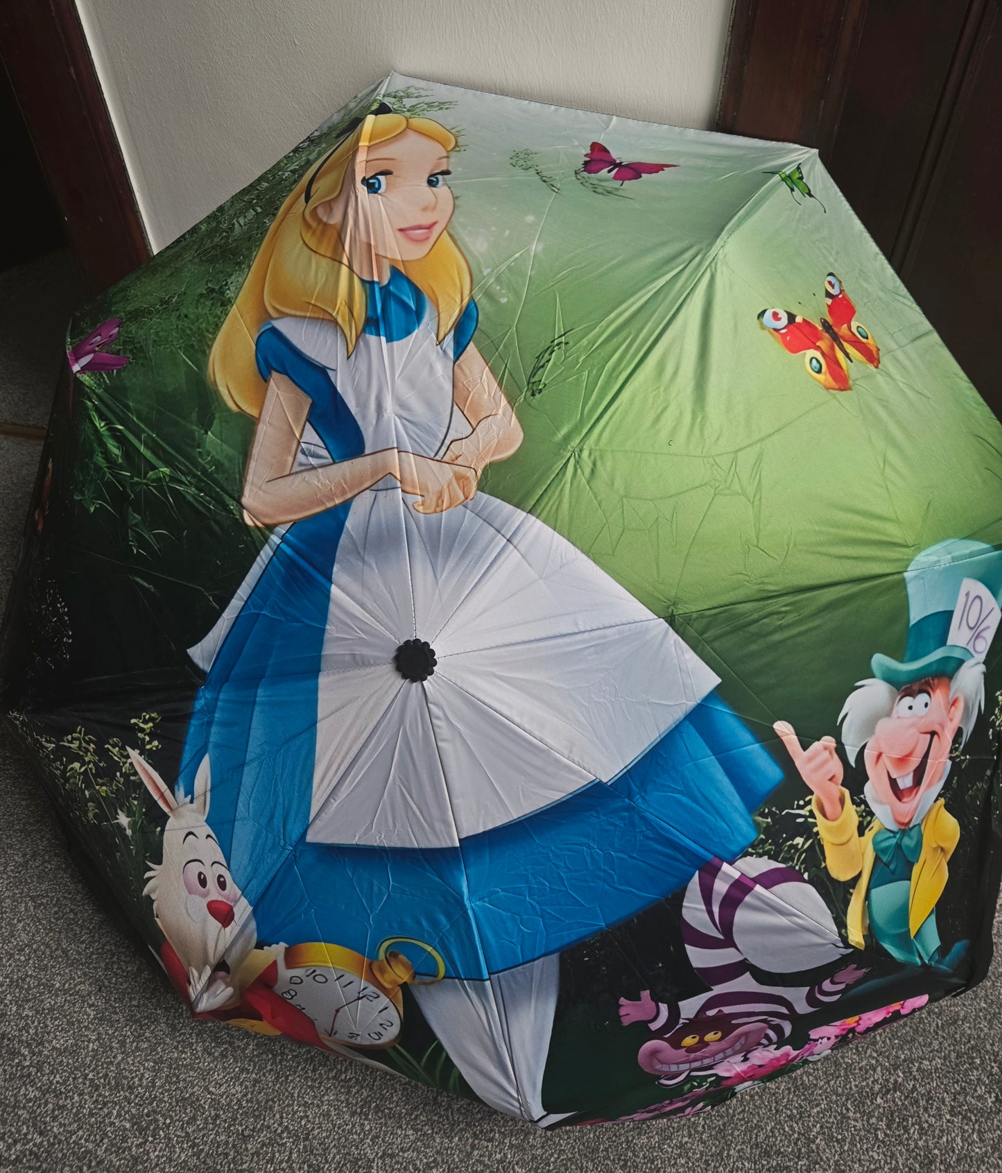 Graphic Umbrella